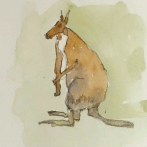 Earl and the kangaroo, parts 1 & 2