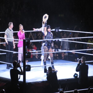 88. En reportage fra WWE Live i Hamborg