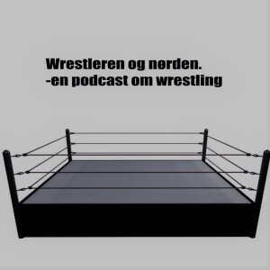 3. Analyse af Nordic Elite Wrestlings Dominion