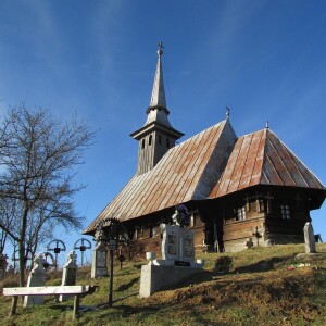 The Reformed Church in Transylvania