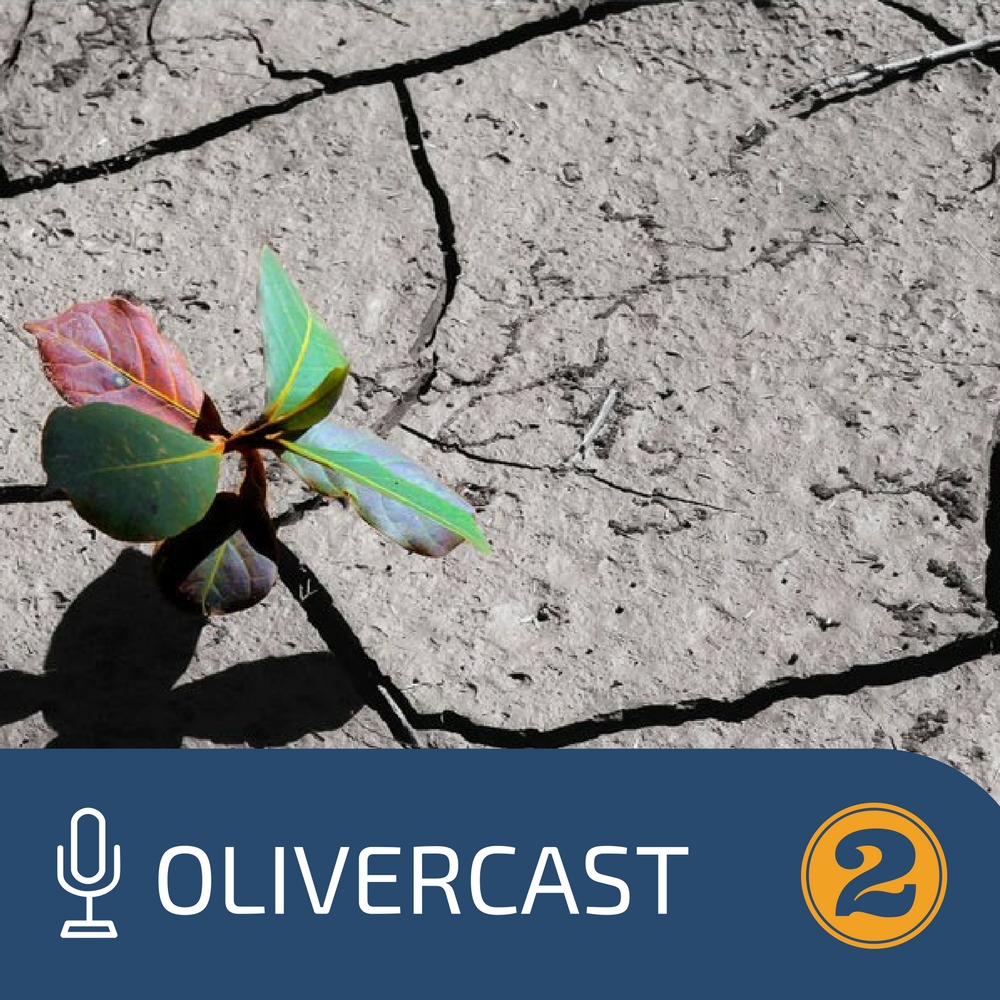 Olivercast #02 - Resiliência