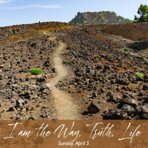 04-05-20 - Way Truth Life - I Am 06