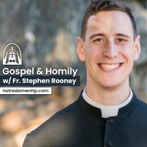 27th Sunday in Ordinary Time, Fr. Stephen Rooney