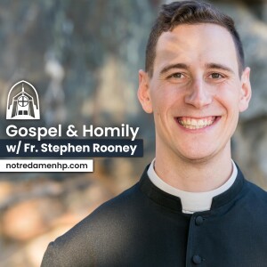 6th Sunday in Ordinary Time, Fr. Stephen Rooney