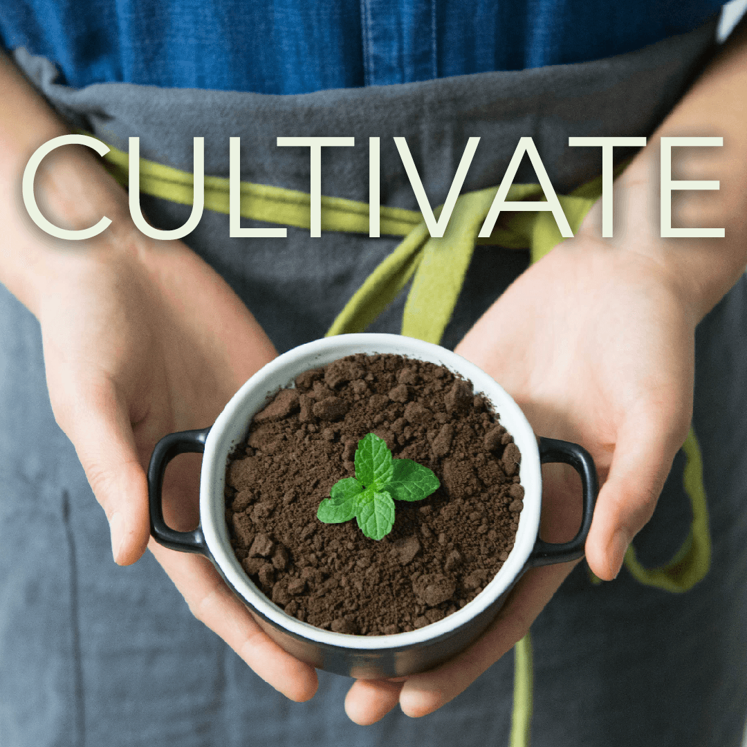 Cultivate: Submission