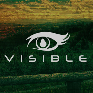 Visible: Kindness