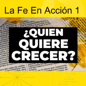 La Fe En Acción 1