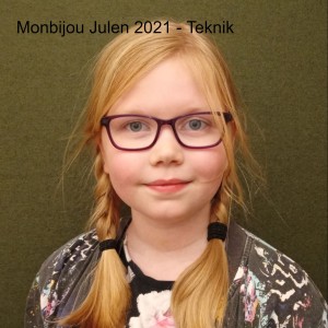 Monbijou Julen 2021 - Teknik