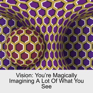 Vision: You Are Magically Imagining A Lot Of What You See