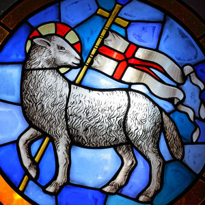 Behold the Lamb!