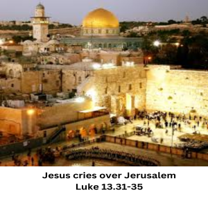 God’s covenant with Abram and Jesus laments over Jerusalem, Thursley 9.45am