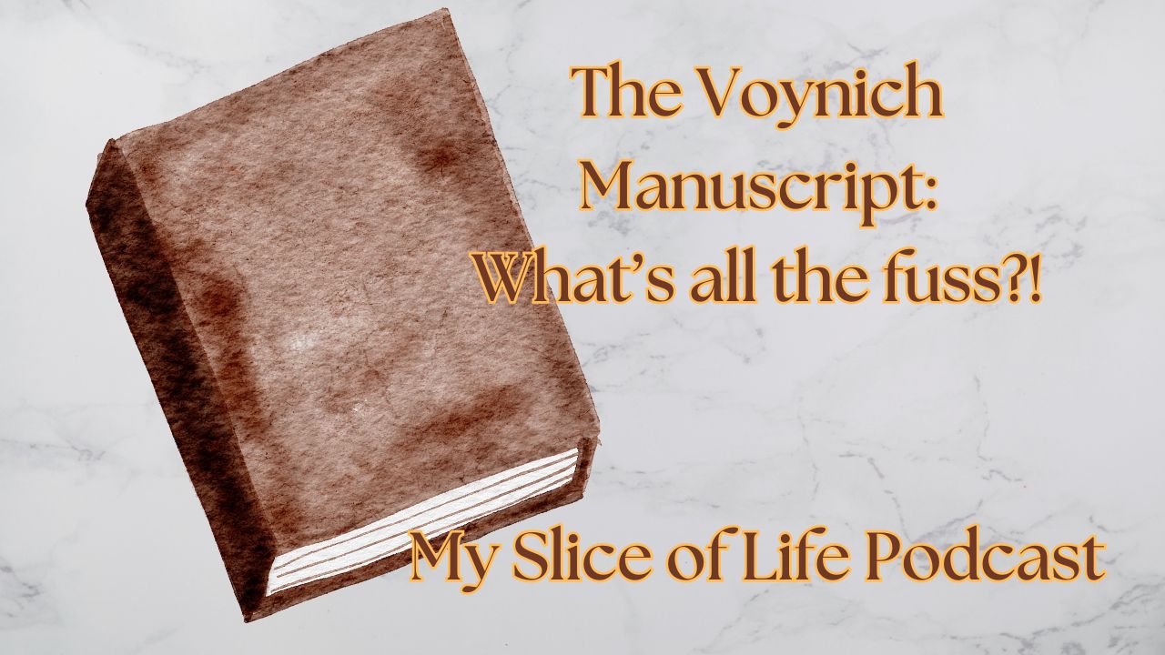 My Slice of Life