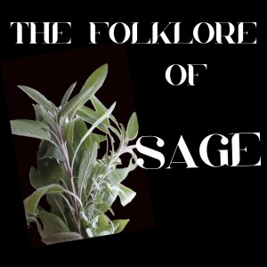 S9 Ep 8 Sage Secrets, Wisdom, Healing & Folklore