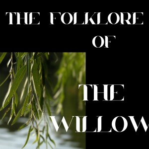 S9 Ep 6 Willow Magic: Legends, Lore & Symbolism