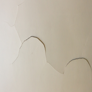 Steps You Can Take to Repair Ceiling
