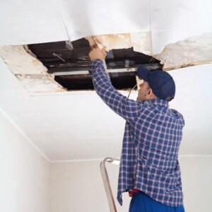 What Are The Common Causes Of Ceiling Cornice Damage?