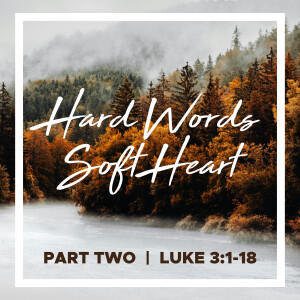 Sunday, November 3, 2024 - Hard Words, Soft Heart- Part 2