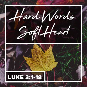 Sunday, October 27, 2024 - Hard Words, Soft Heart