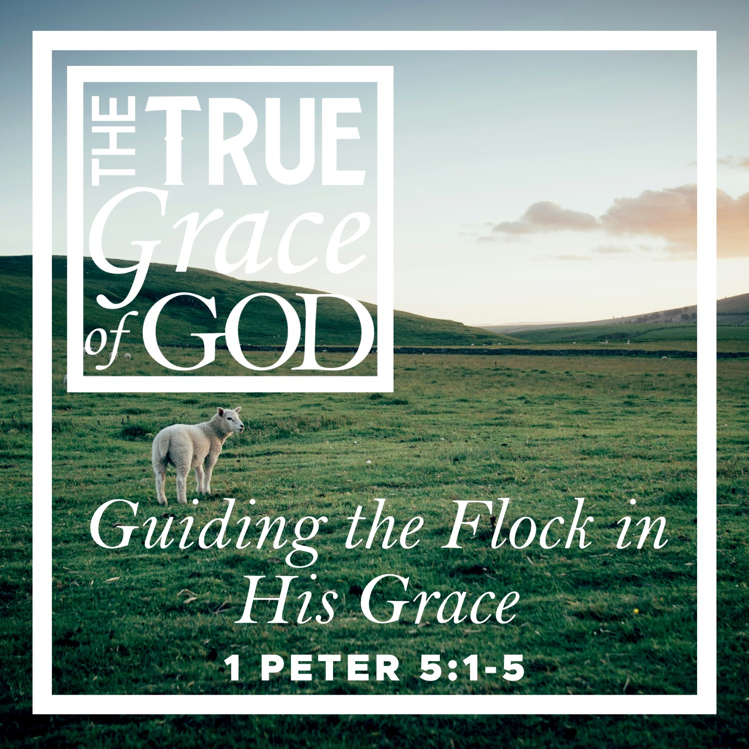 Liberty’s Bible to Life Podcast