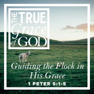 Sunday, August 18, 2024 - Guiding the Flock in His Grace