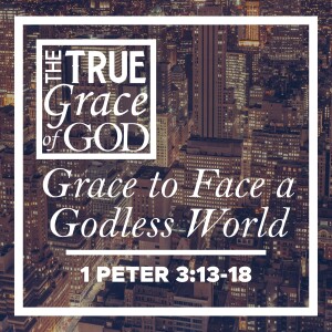 Sunday, June 30, 2024 - Grace to Face a Godless World