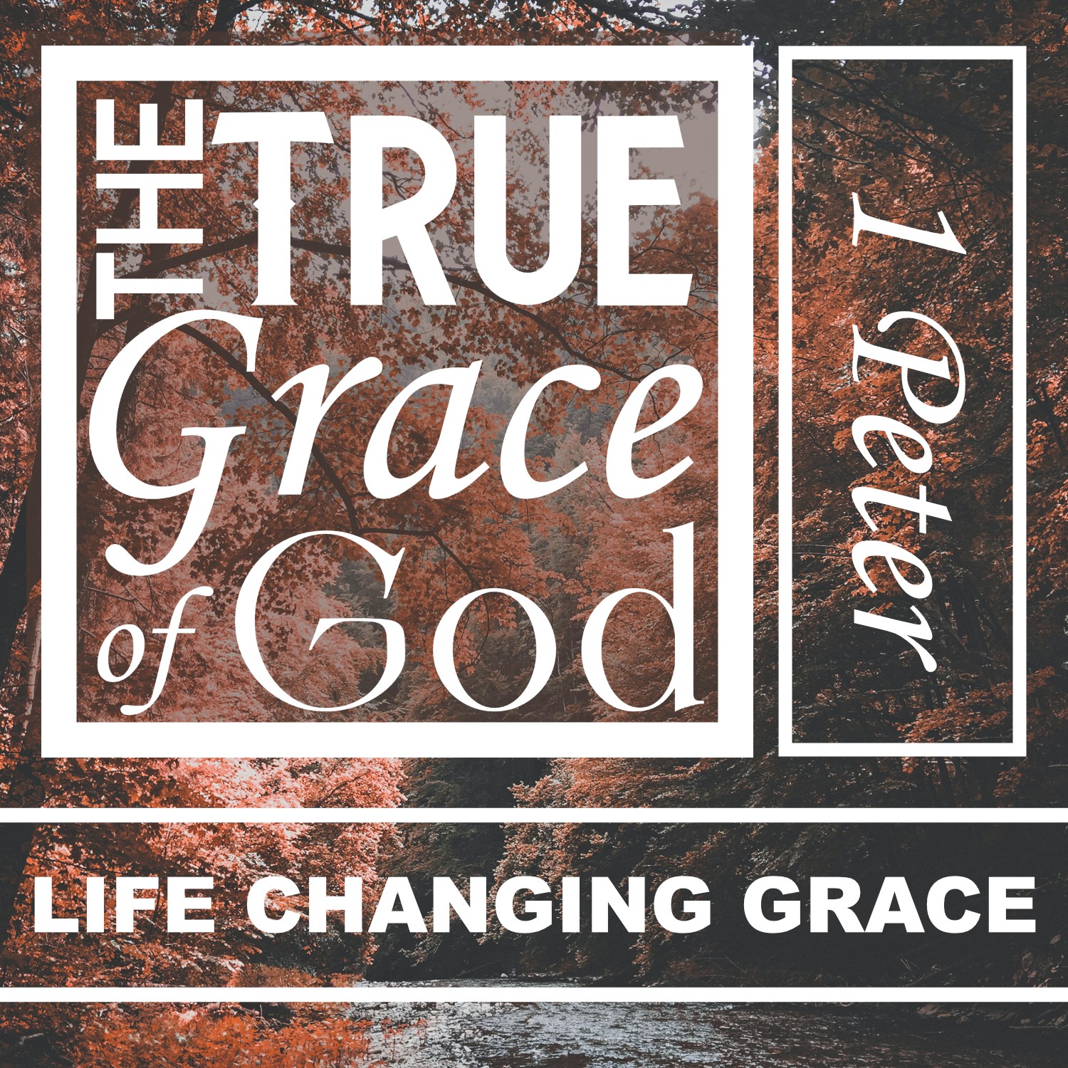 Liberty’s Bible to Life Podcast