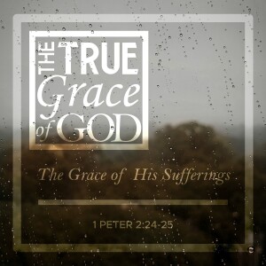Sunday, May 5, 2024 - The Grace of His Sufferings