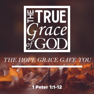 Sunday, November 5, 2023 -The Hope Grace Gave You