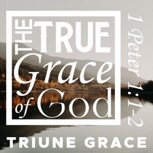 Sunday, October 29, 2023 -Triune Grace