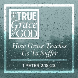 Sunday, April 28, 2024 - How Grace Teaches Us To Suffer