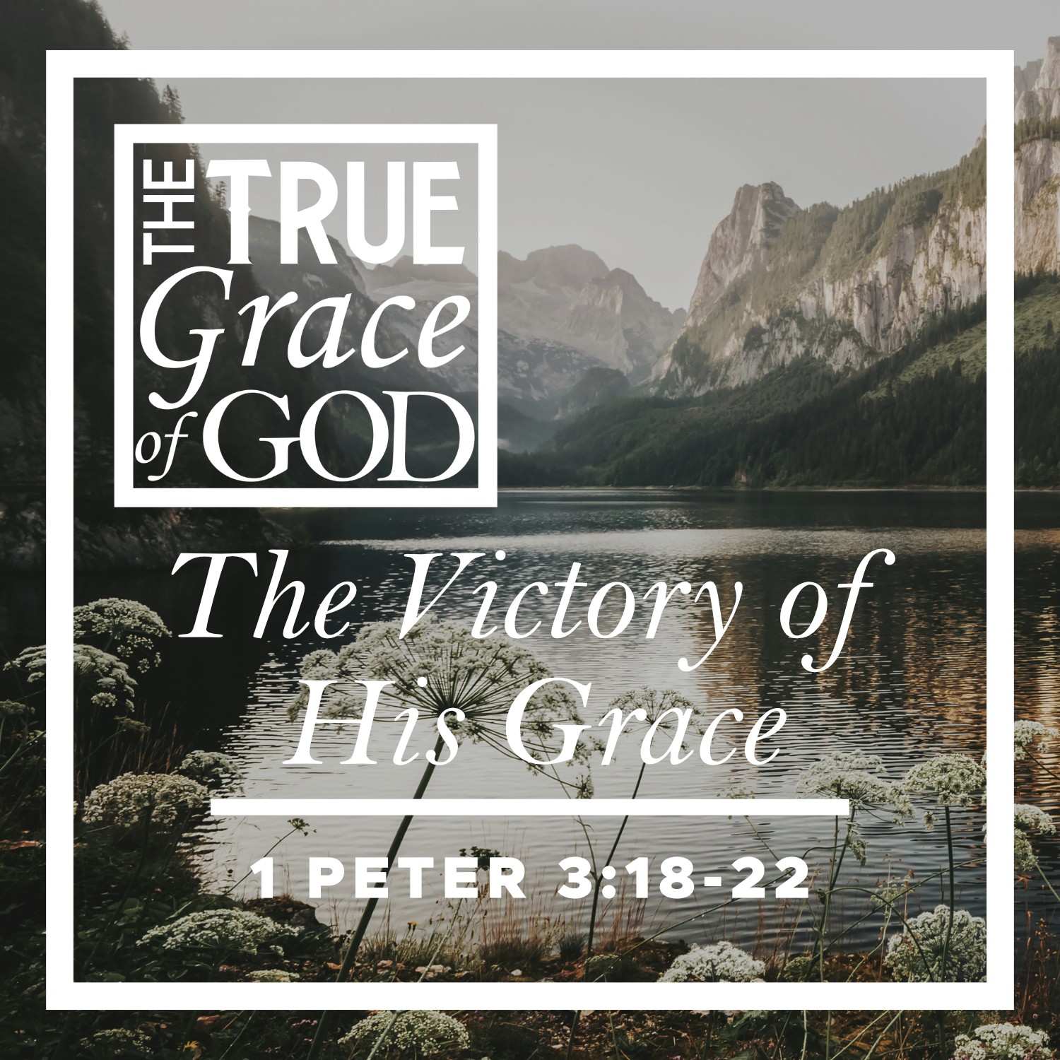 Liberty’s Bible to Life Podcast