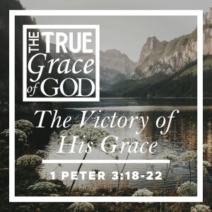 Sunday, July 14, 2024 - The Victory of His Grace