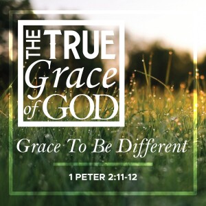 Sunday, April 7, 2024 -Grace To Be Different