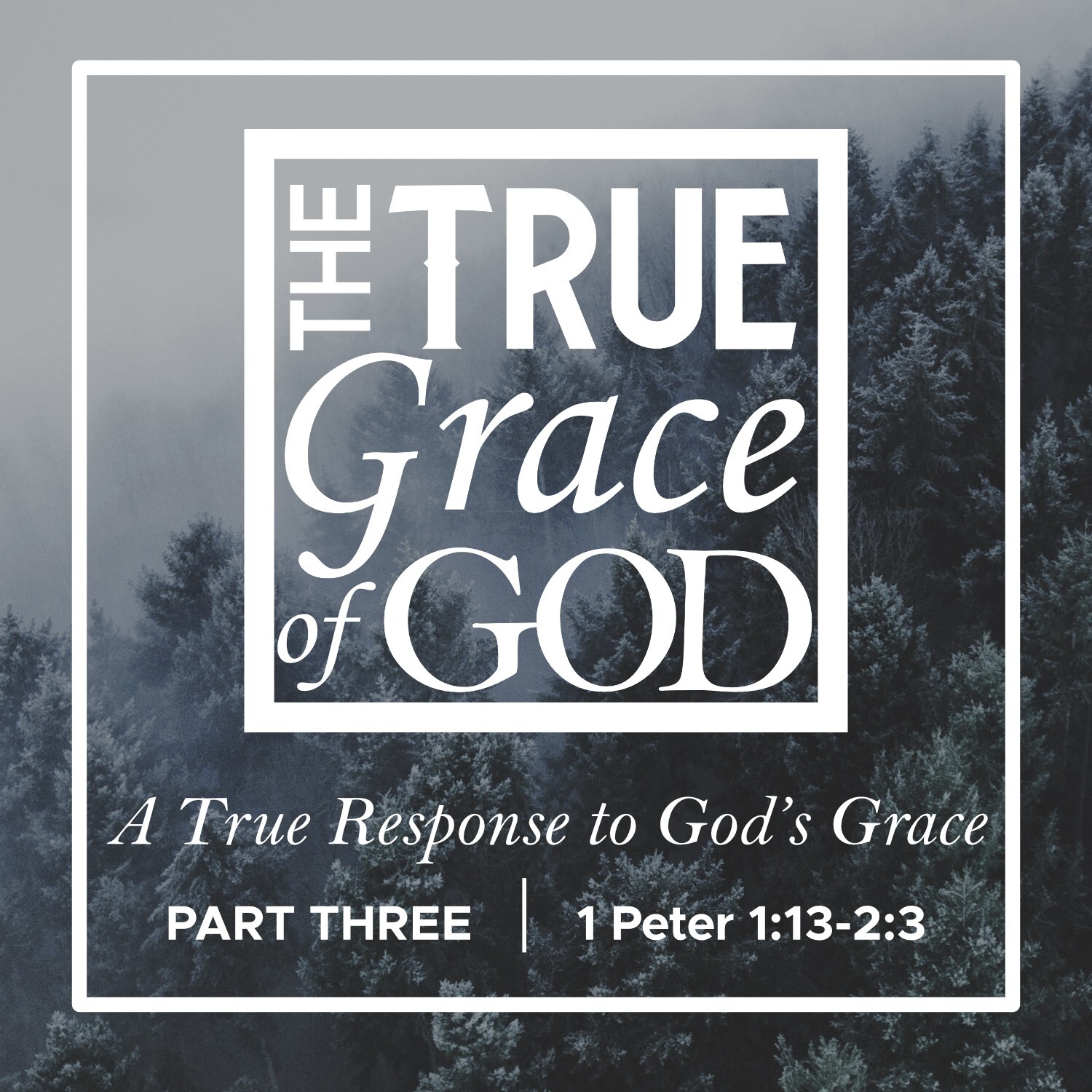 Liberty’s Bible to Life Podcast