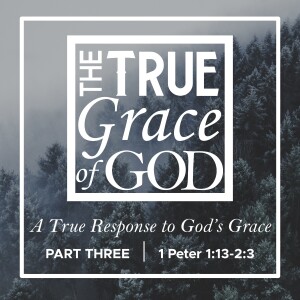 Sunday, January 28, 2024 -A True Response to God's Grace  |  PART 3