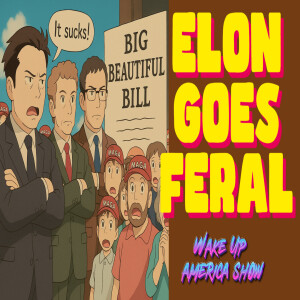 Elon Musk Calls Trump Megabill a ‘Disgusting Abomination’