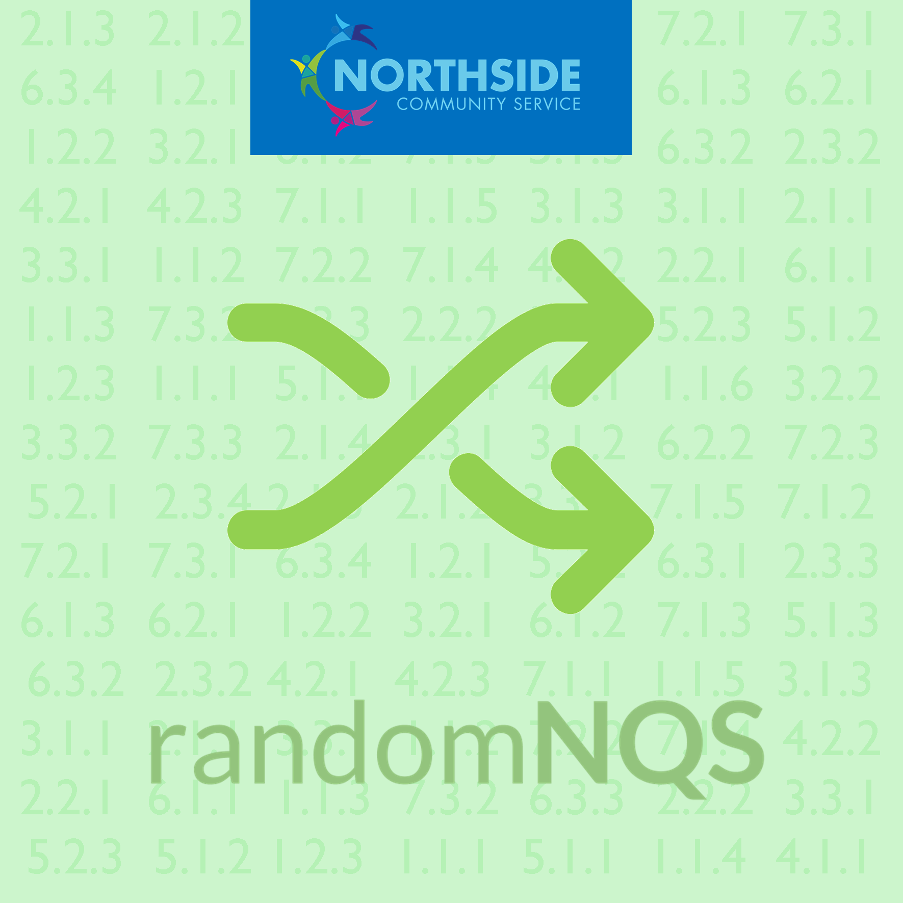 Introducing Random NQS