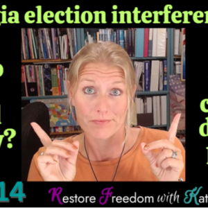 Who has pled guilty and to which charges have they pled in the Georgia election interference case? S3E14