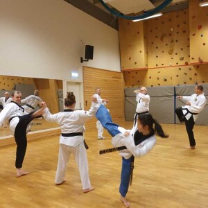Stemningsrapport fra Master trening i Centrum Taekwondo Fysak