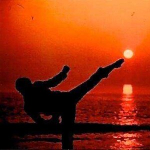 Samtale rundt Taekwondo med Master Peter Georg Zehentbauer 4 Dan Nordfjord Taekwondo klubb San Soo In
