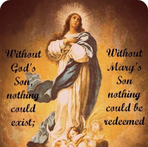 Immaculate Conception 2017