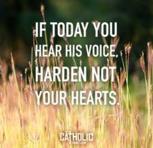 4th Sunday OT YrB, 5:30PM