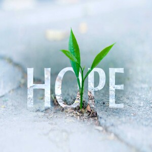 Advent 1: Hope