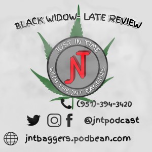 Black Widow- Late Review