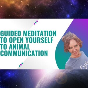 Guided Meditation To Open Yourself to Animal Communication