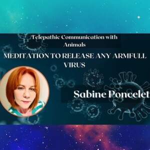 MEDITATION TO RELEASE ANY ARMFULL VIRUS