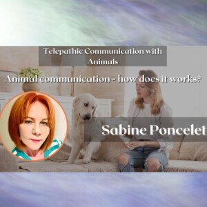 Animal communication - how does it works?