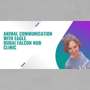 Animal Communication with Eagle. Dubai Falcon Hub Clinic