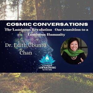 The Luminous Revolution -- Our transition to a Luminous Humanity.