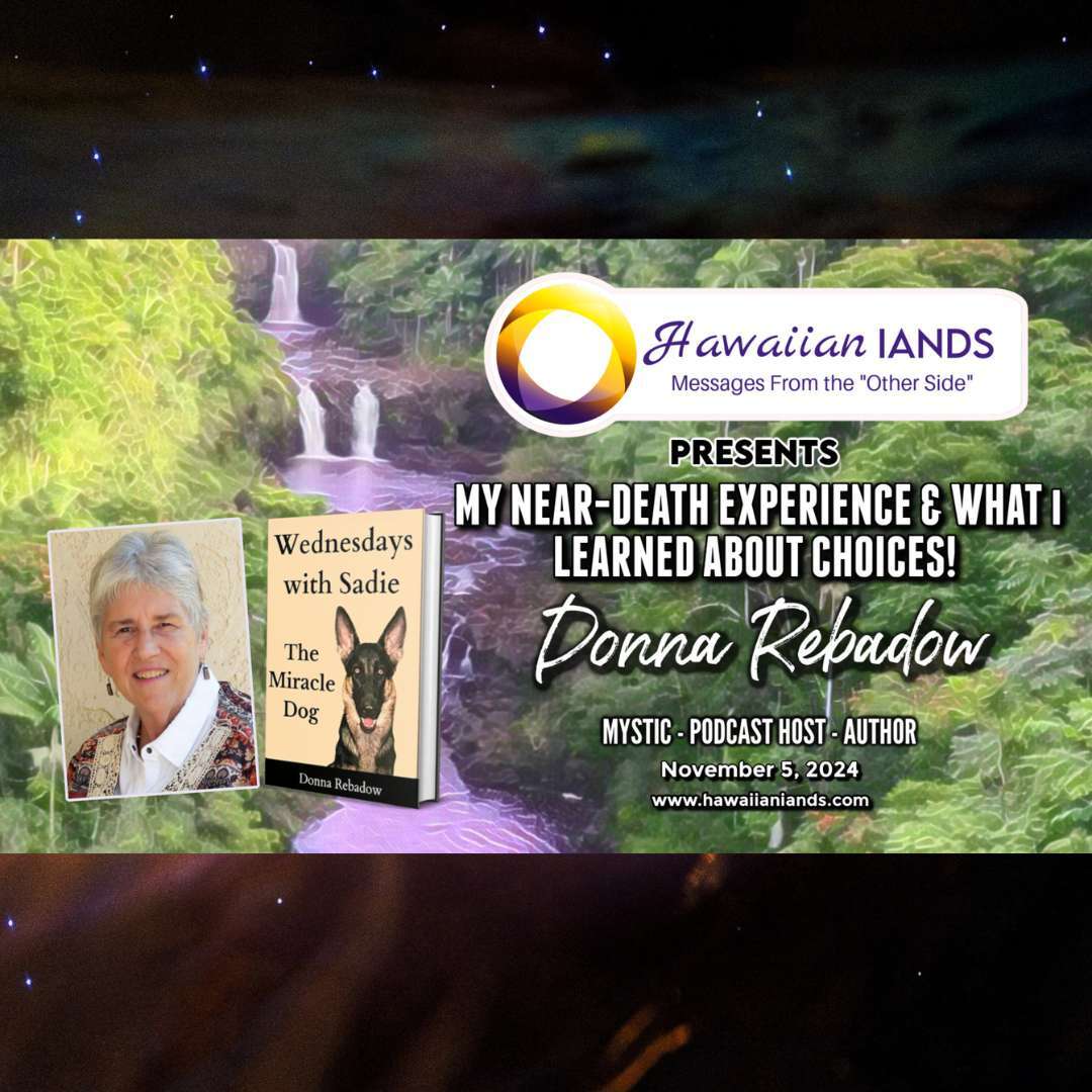 Conscious Awakening Network
